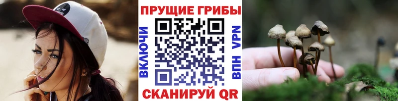 Галлюциногенные грибы ЛСД Мензелинск